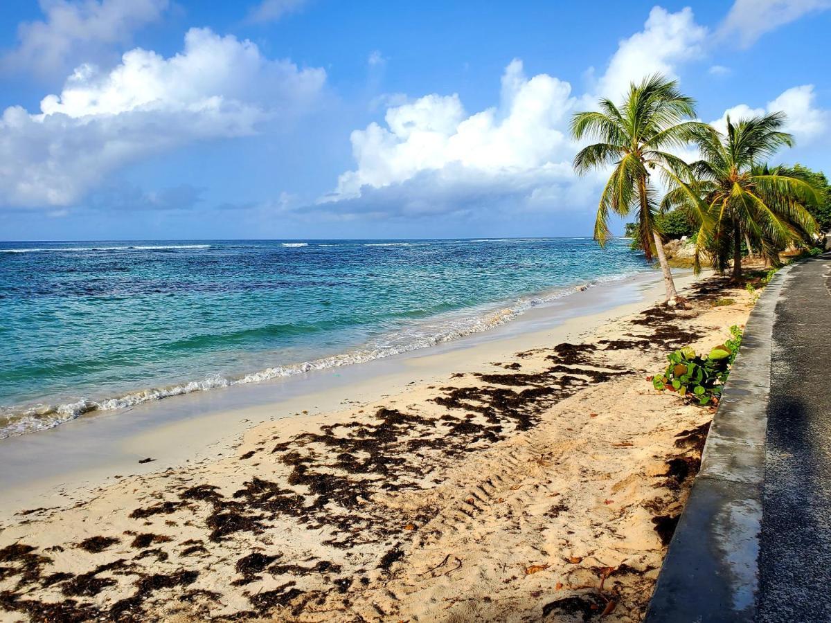 Villa L'Anjou Creole A Sainte Anne En Guadeloupe Avec Piscine Privee Et 2 Chambres Pour 4 Personnes Exterior foto