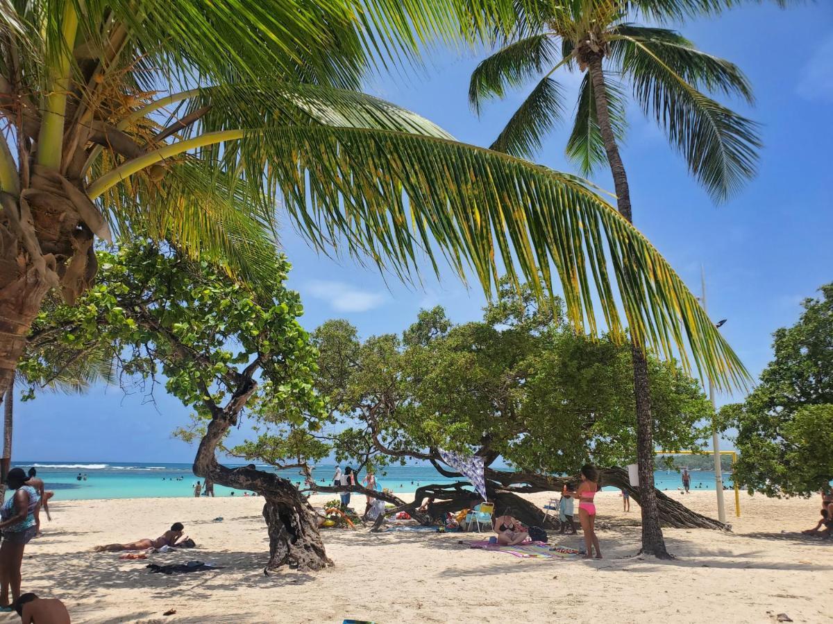 Villa L'Anjou Creole A Sainte Anne En Guadeloupe Avec Piscine Privee Et 2 Chambres Pour 4 Personnes Exterior foto