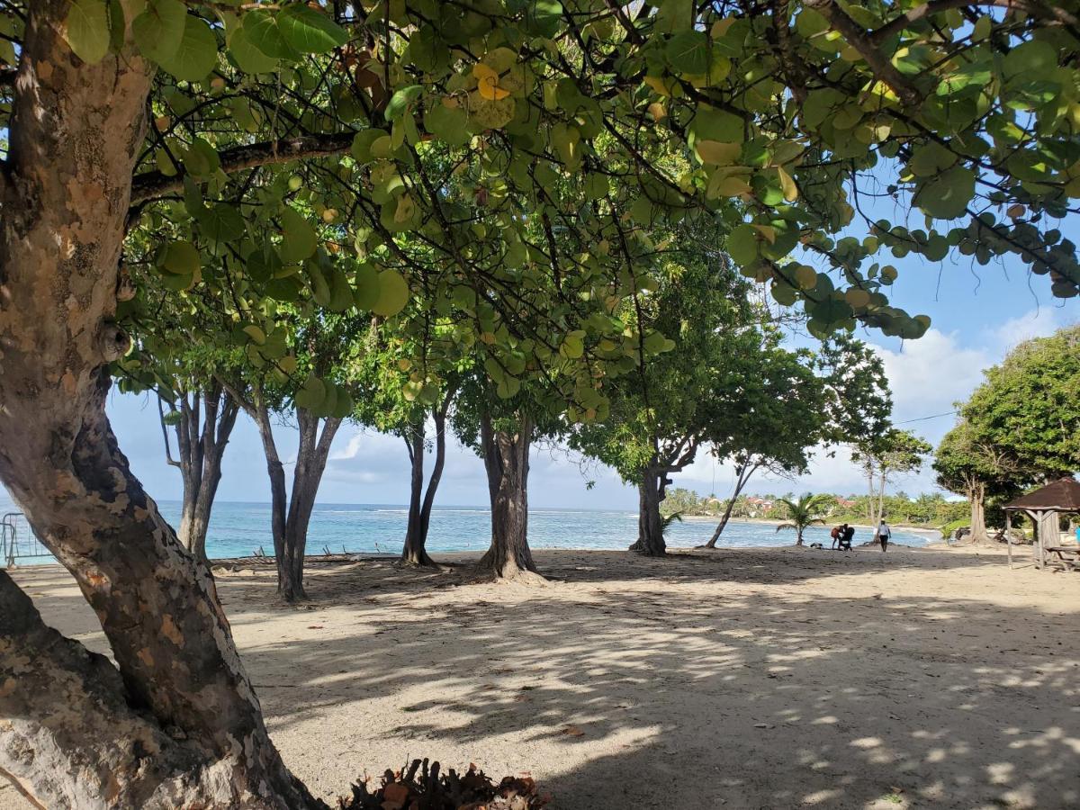 Villa L'Anjou Creole A Sainte Anne En Guadeloupe Avec Piscine Privee Et 2 Chambres Pour 4 Personnes Exterior foto