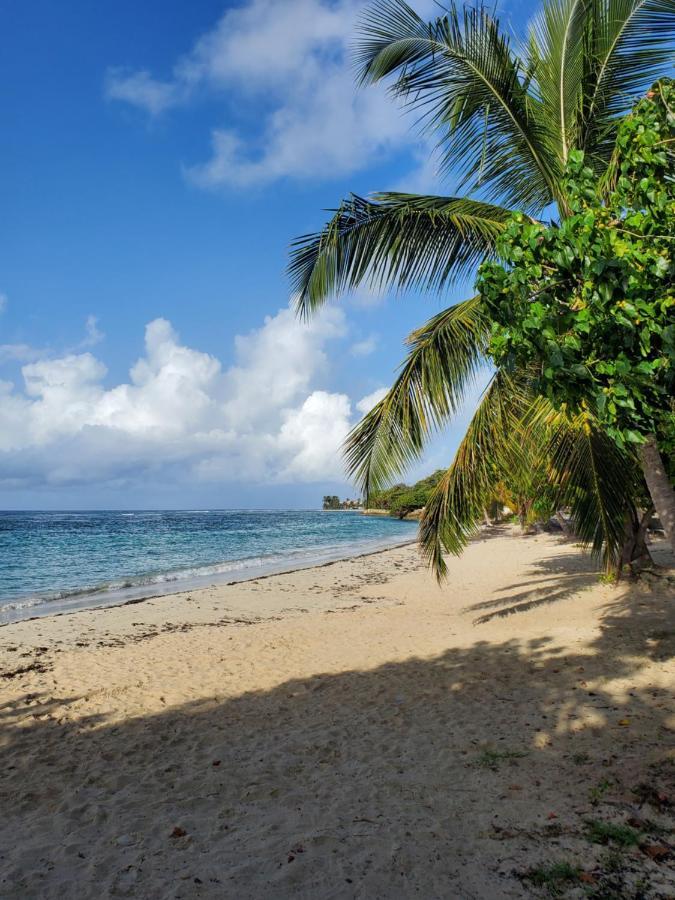 Villa L'Anjou Creole A Sainte Anne En Guadeloupe Avec Piscine Privee Et 2 Chambres Pour 4 Personnes Exterior foto