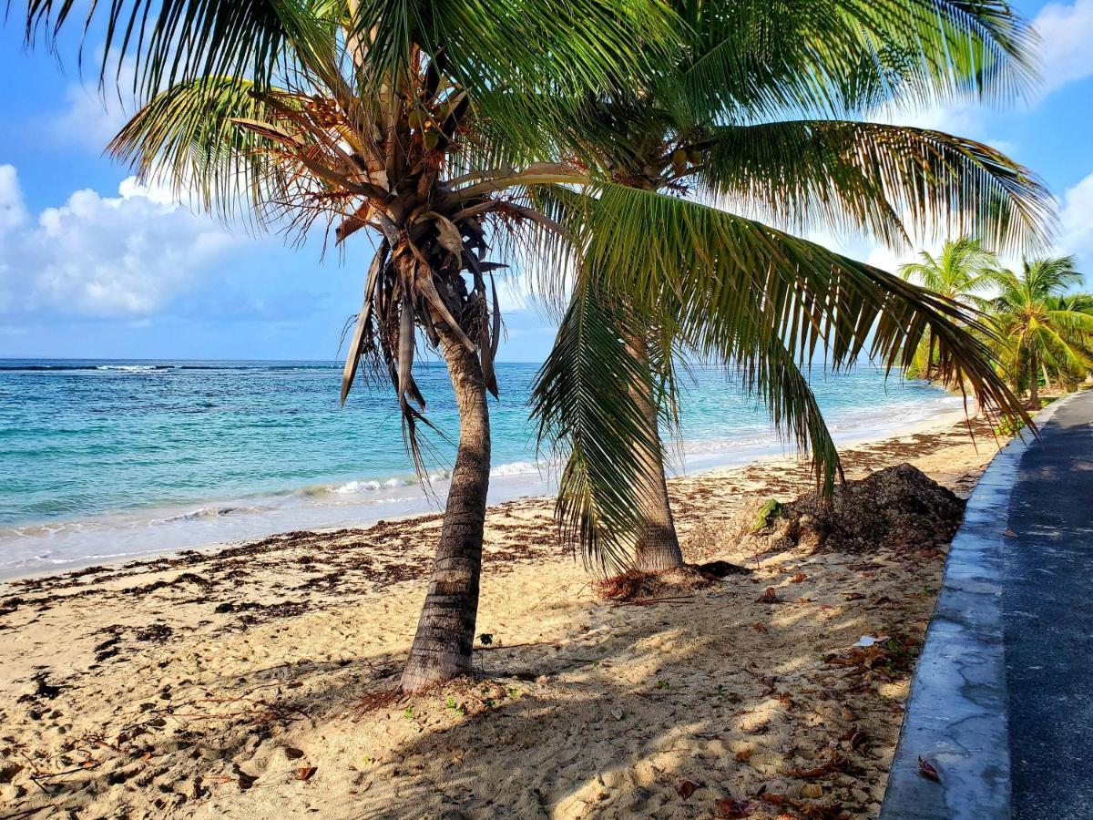 Villa L'Anjou Creole A Sainte Anne En Guadeloupe Avec Piscine Privee Et 2 Chambres Pour 4 Personnes Exterior foto