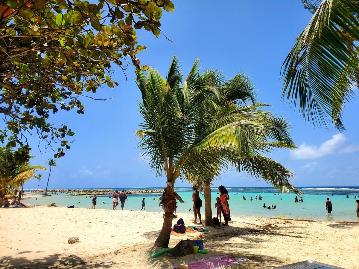 Villa L'Anjou Creole A Sainte Anne En Guadeloupe Avec Piscine Privee Et 2 Chambres Pour 4 Personnes Exterior foto