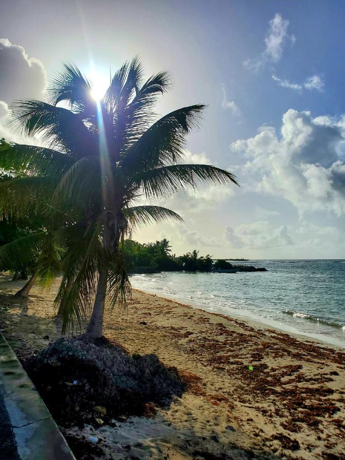 Villa L'Anjou Creole A Sainte Anne En Guadeloupe Avec Piscine Privee Et 2 Chambres Pour 4 Personnes Exterior foto