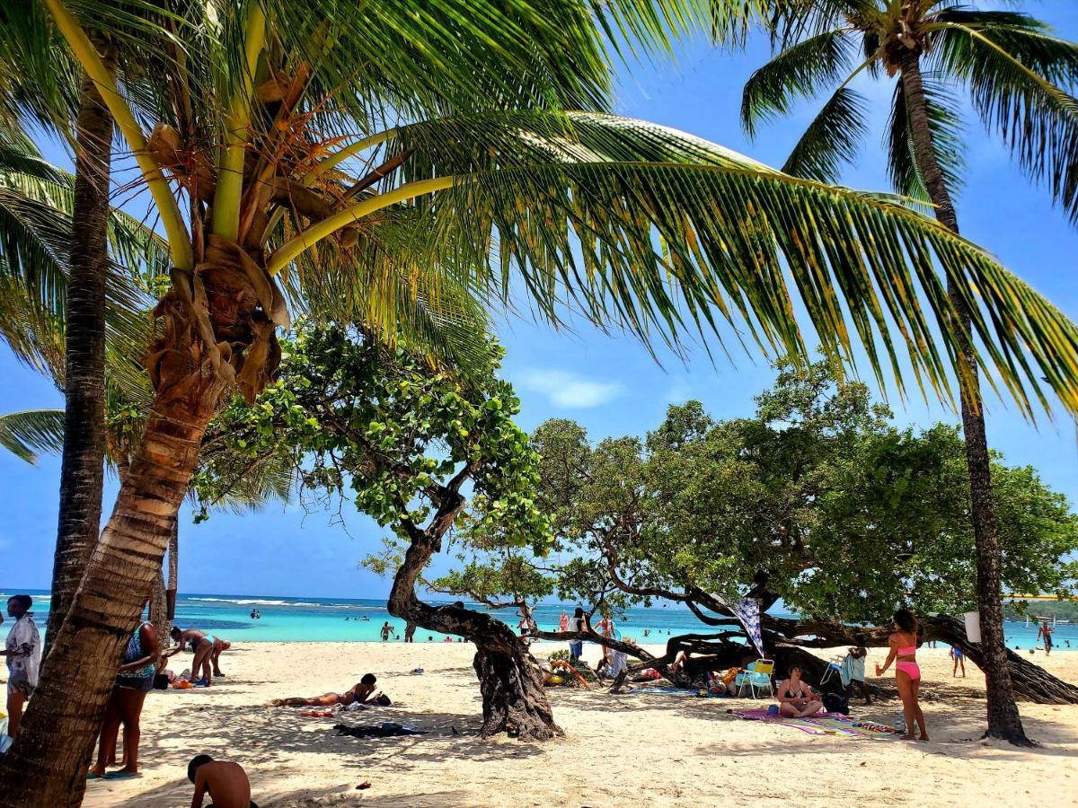 Villa L'Anjou Creole A Sainte Anne En Guadeloupe Avec Piscine Privee Et 2 Chambres Pour 4 Personnes Exterior foto