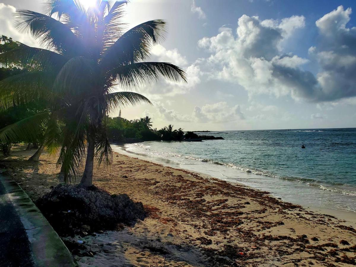 Villa L'Anjou Creole A Sainte Anne En Guadeloupe Avec Piscine Privee Et 2 Chambres Pour 4 Personnes Exterior foto