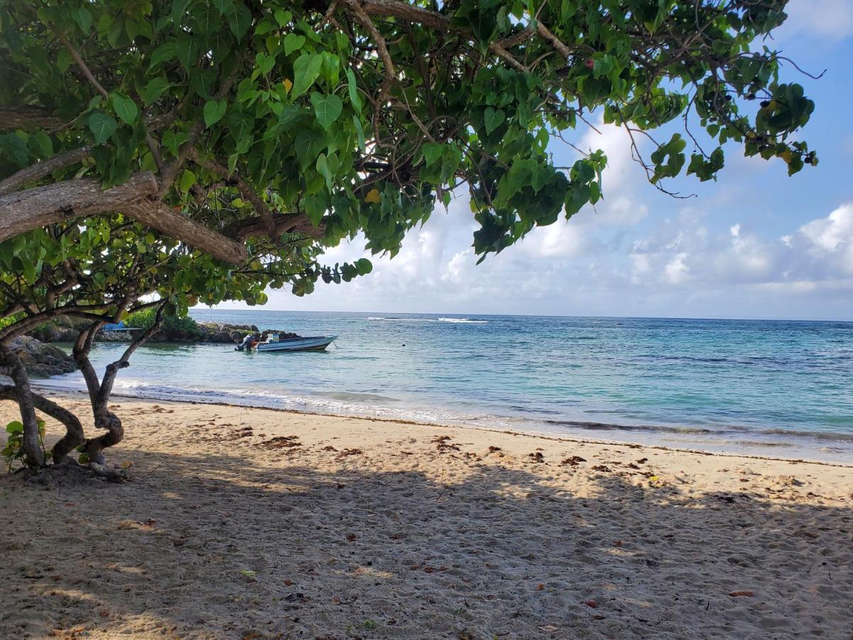 Villa L'Anjou Creole A Sainte Anne En Guadeloupe Avec Piscine Privee Et 2 Chambres Pour 4 Personnes Exterior foto