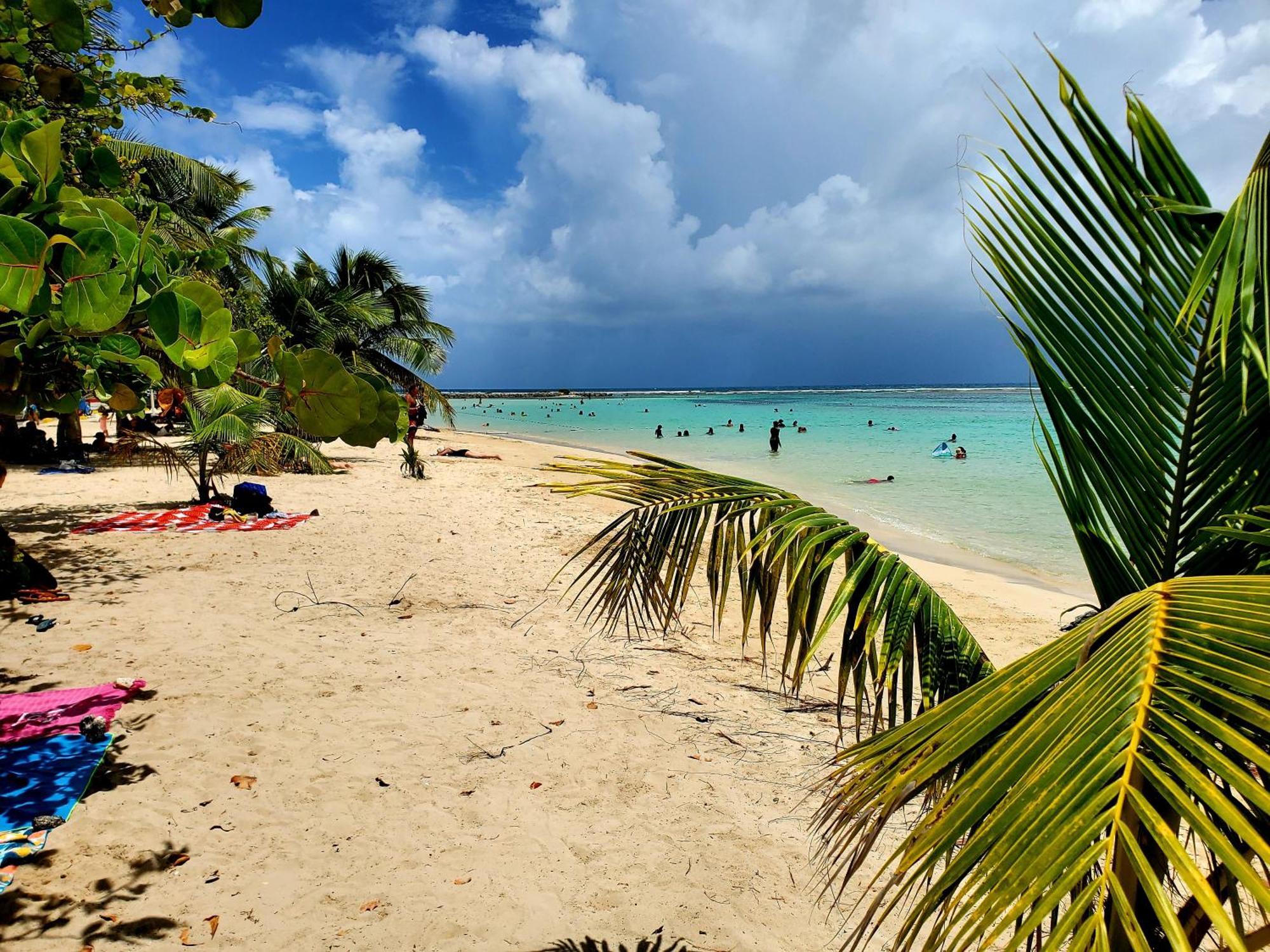 Villa L'Anjou Creole A Sainte Anne En Guadeloupe Avec Piscine Privee Et 2 Chambres Pour 4 Personnes Exterior foto