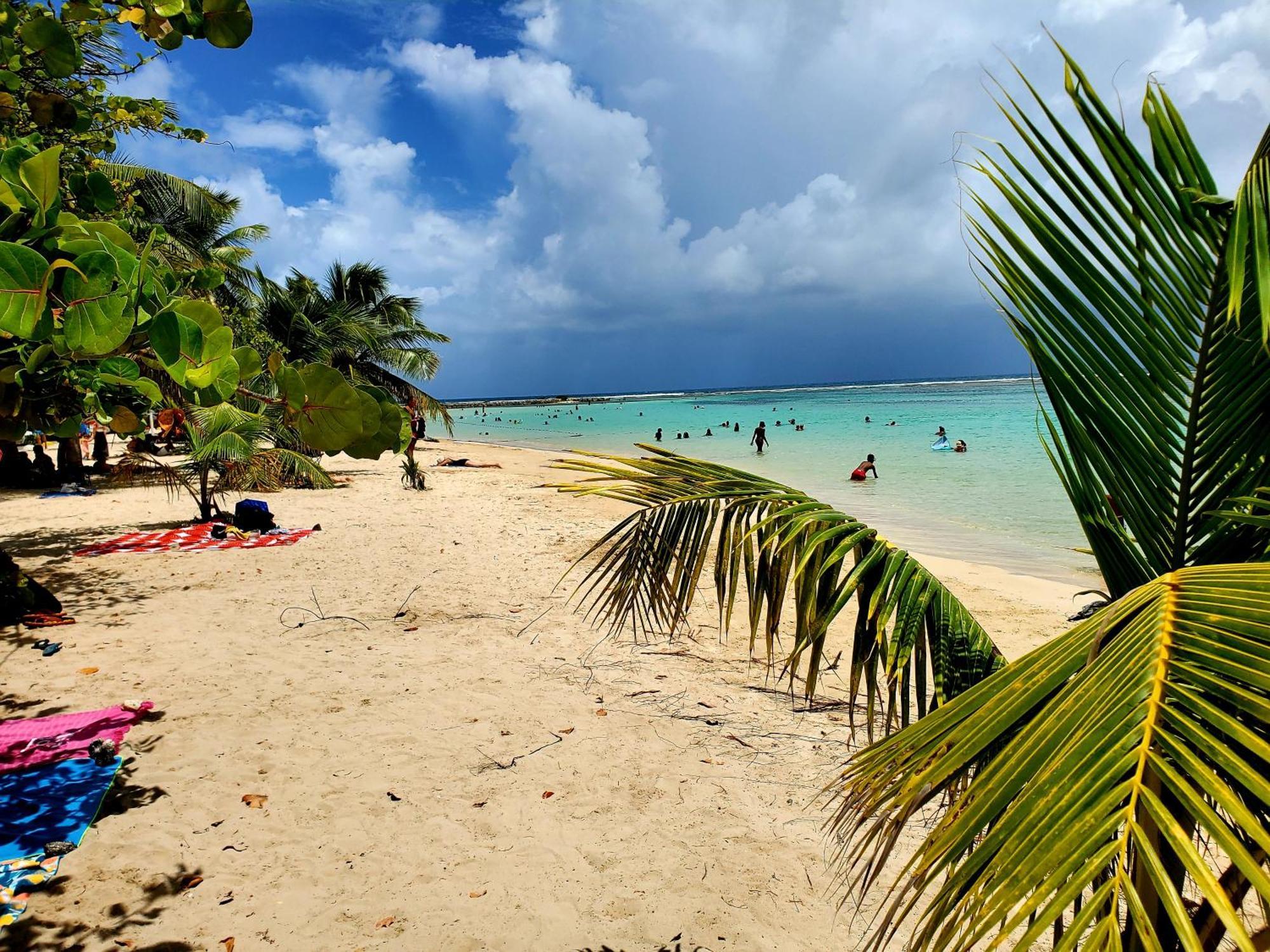 Villa L'Anjou Creole A Sainte Anne En Guadeloupe Avec Piscine Privee Et 2 Chambres Pour 4 Personnes Exterior foto
